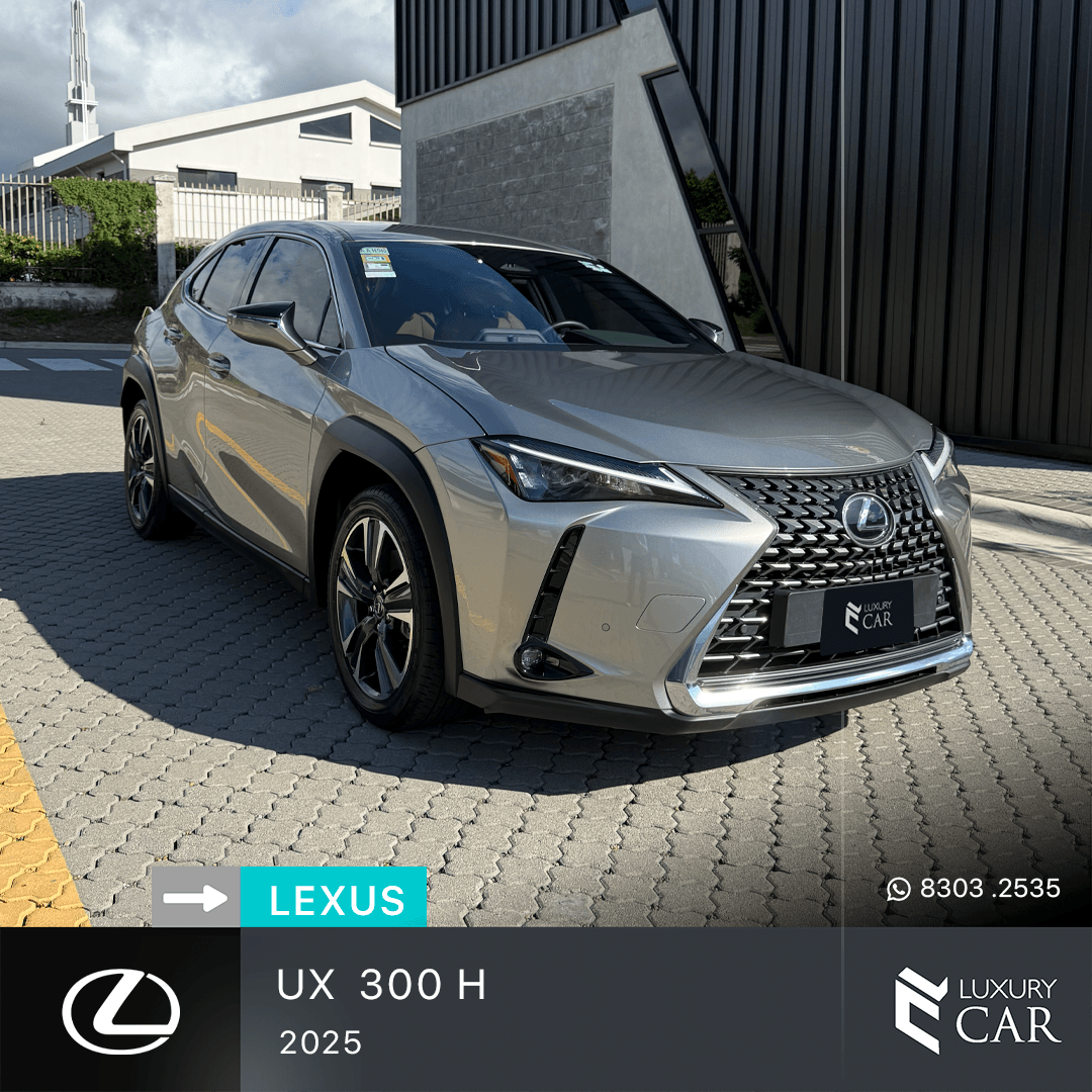 LEXUS UX 300 H