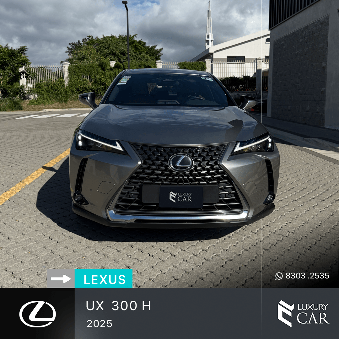 LEXUS UX 300 H