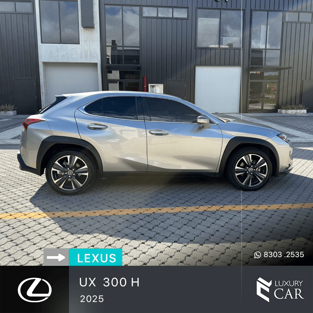 LEXUS UX 300 H