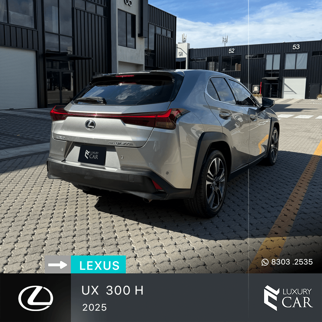 LEXUS UX 300 H