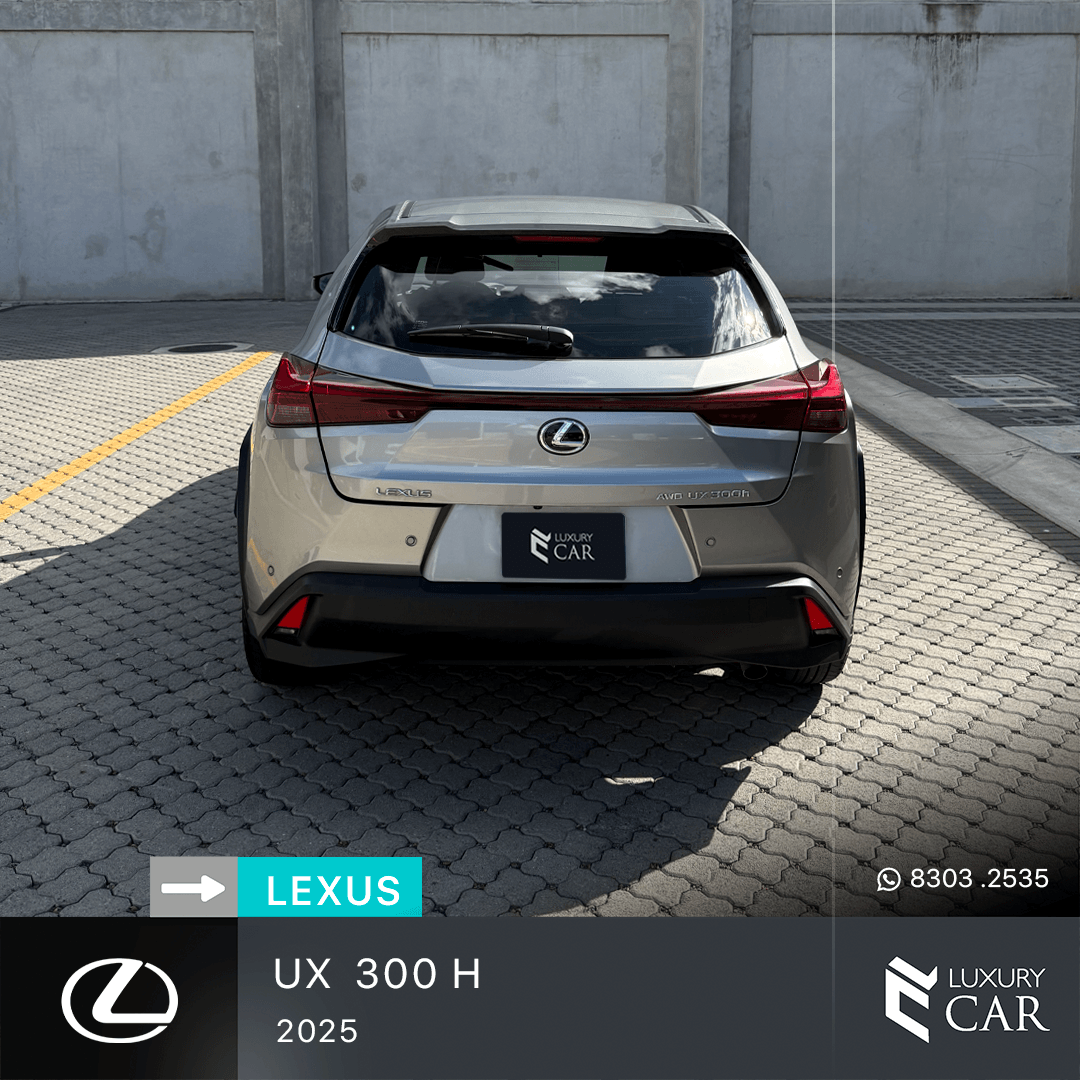 LEXUS UX 300 H