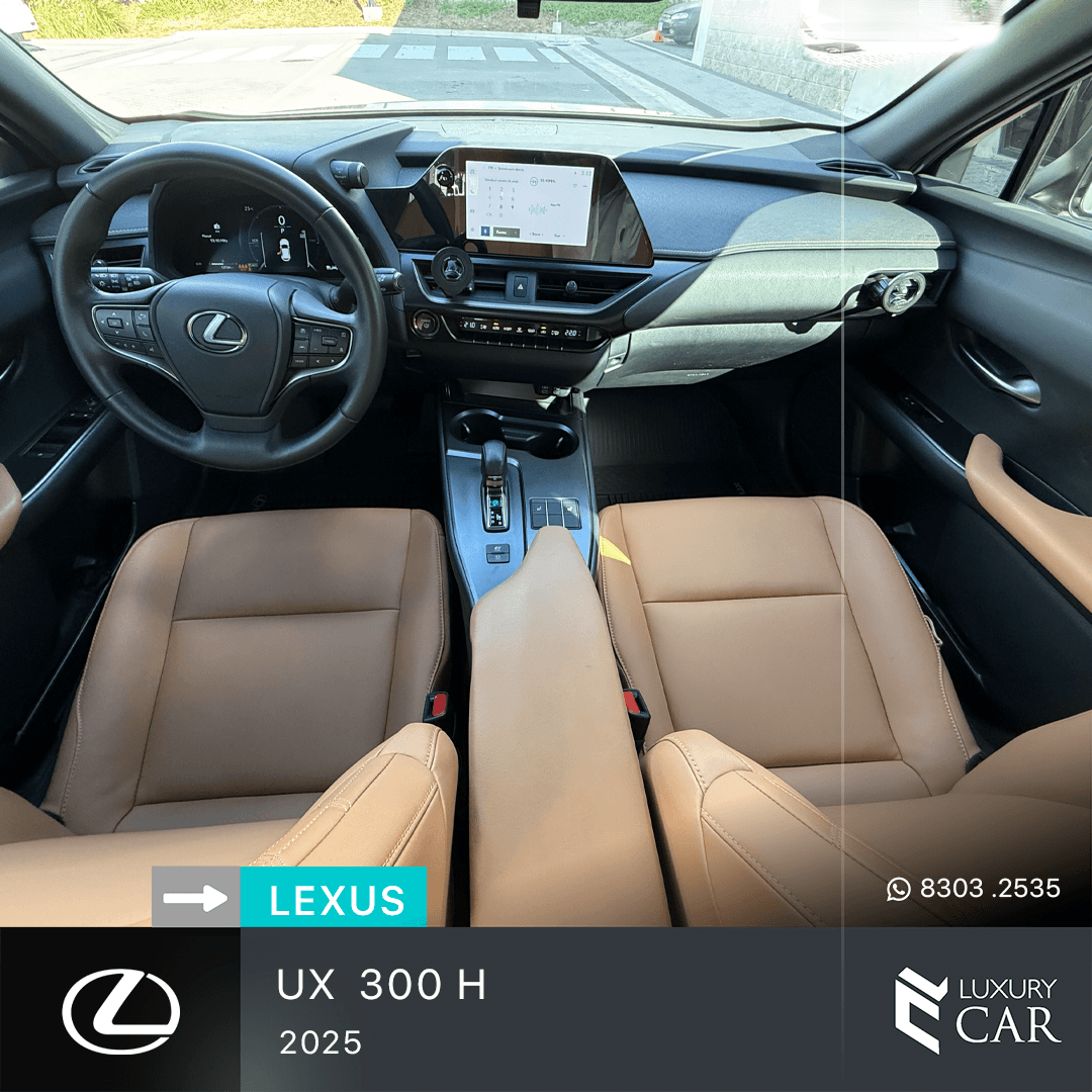 LEXUS UX 300 H
