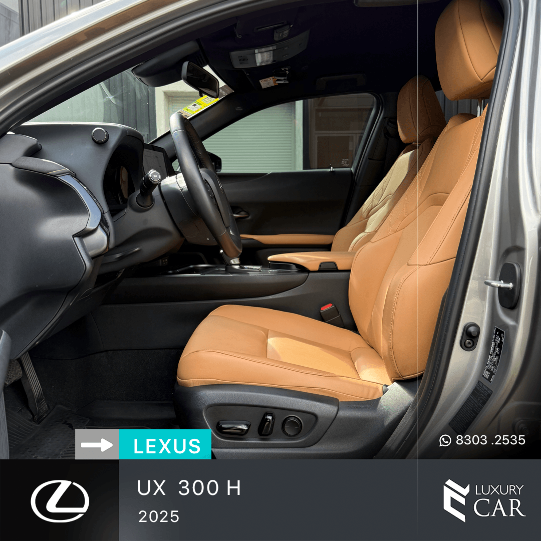 LEXUS UX 300 H