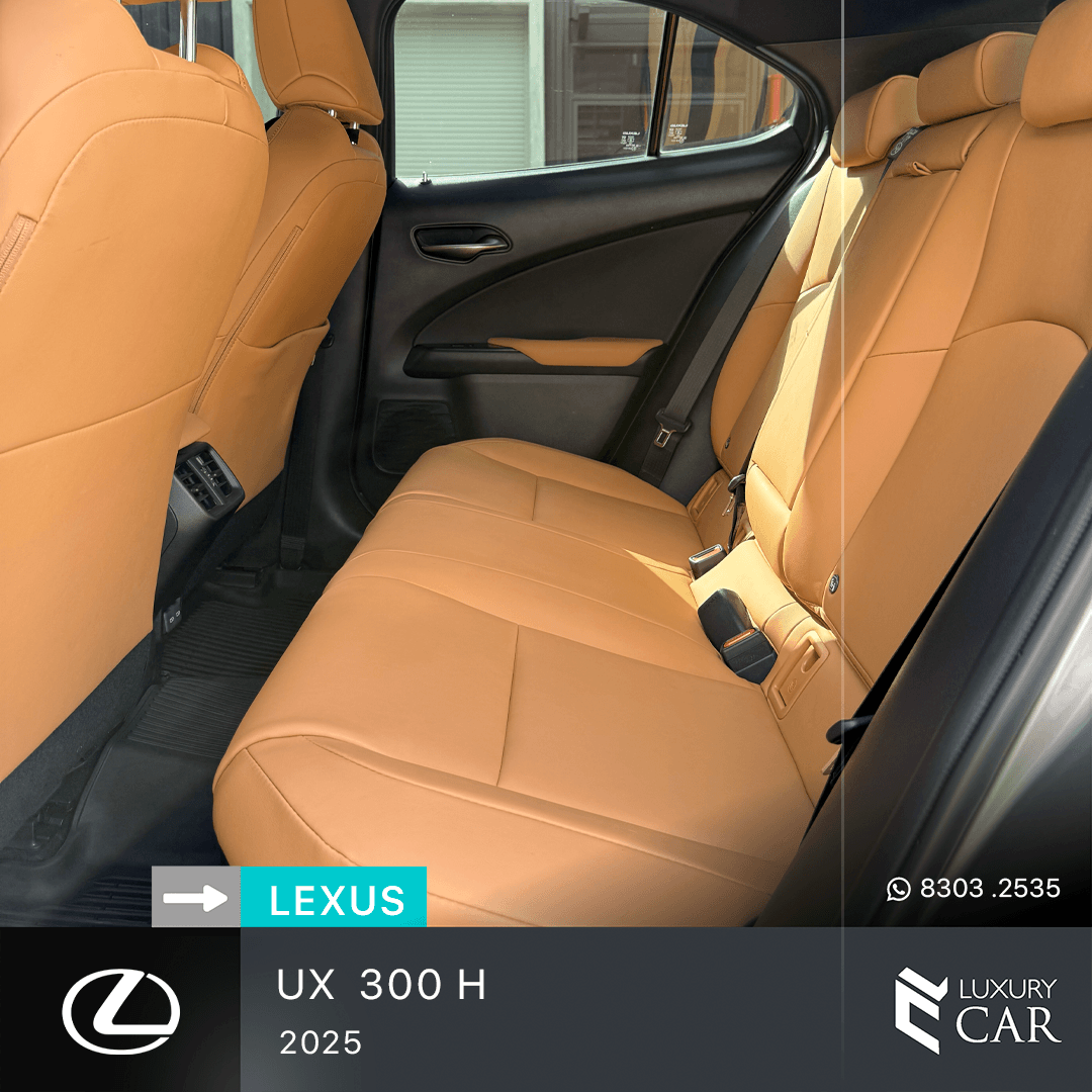 LEXUS UX 300 H